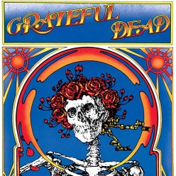 Grateful Dead (Skull And Roses)