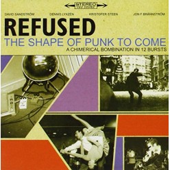 Shape Of Punk To Come