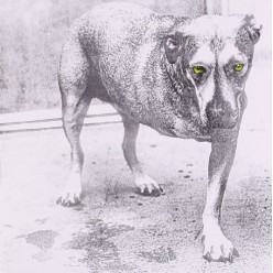 Alice In Chains
