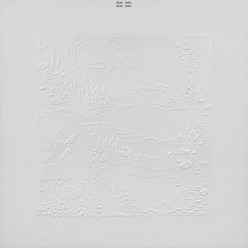 Bon Iver [10th Anniversary]