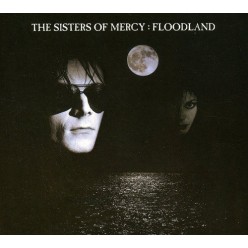 Floodland