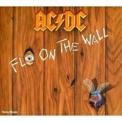 Fly On The Wall