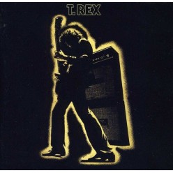 Electric Warrior