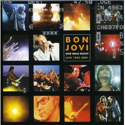 One Wild Night: Live 1985-2001