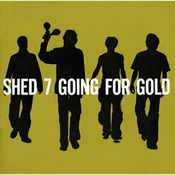 Going For Gold: The Greatest Hits [Black vinyl]