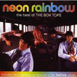 Neon Rainbow