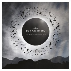 Shadows Of The Dying Sun