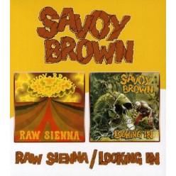 Raw Sienna + Looking In