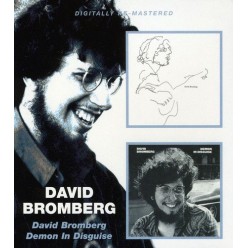David Bromberg + Demon In Disguise