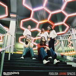 Foolish Loving Spaces