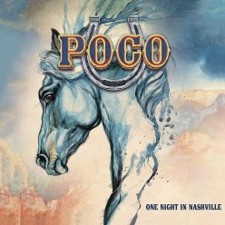 One Night In Nashville [Blue vinyl]