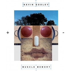 Muscle Memory
