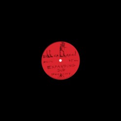 Expanding Dub / Highs In The Mid 40s Dub