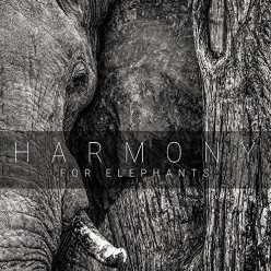 Harmony For Elephants