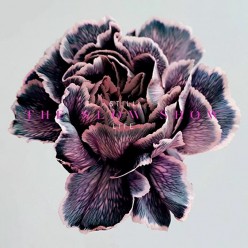 STILL LIFE [White vinyl]
