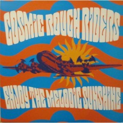 Enjoy The Melodic Sunshine [Orange vinyl]