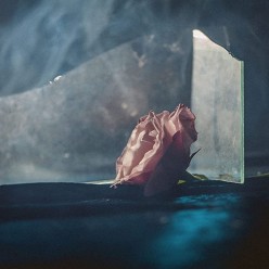 In Virus Times [Turquoise vinyl]
